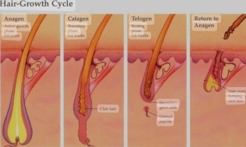 Τριχόπτωση θεραπεία για άντρες